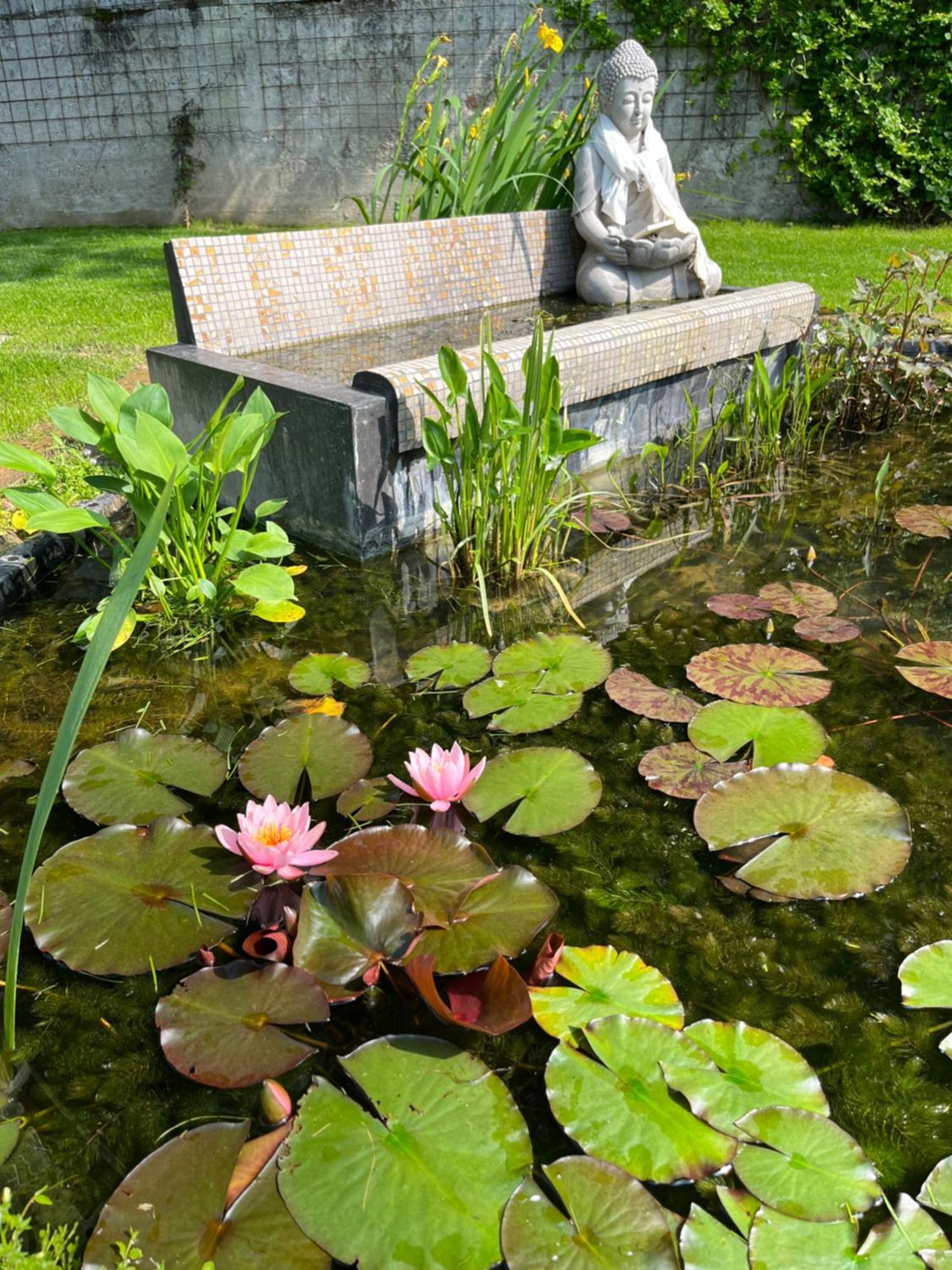 Bed & Breakfast Lunafragola Atelier Candia Canavese